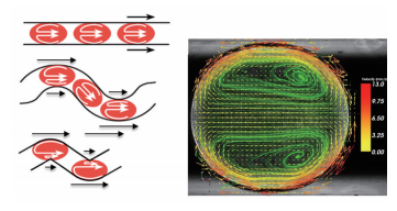圖3微通道中嵌段流液滴內部的渦流矢量圖