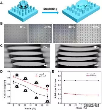 圖1. （A-C）形狀記憶微柱陣列結構在拉伸至20%，40%及60%后的形貌連續可控變化，及在外力撤銷后形變維持；（D，E）形狀記憶微柱陣列可控拉伸形變后表面浸潤特性改變及微結構形貌改變