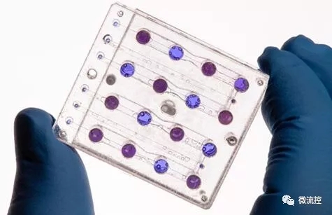 小衛(wèi)星“BioSentinel”攜帶微流控進(jìn)入深太空，開展空間輻射研究