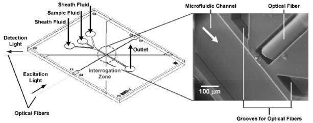 圖3.嵌入式光纖在蛋白質免疫測定中用于熒光測量的用途 圖3.嵌入式光纖在蛋白質免疫測定中用于熒光測量的用途