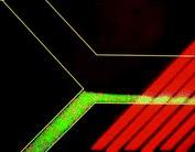 微流控光學檢測技術 微流控光學檢測技術