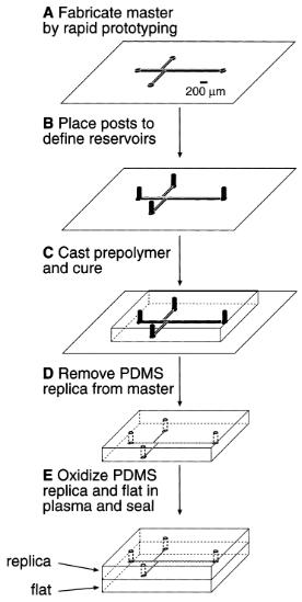 1565917110875448.jpg 9.jpg