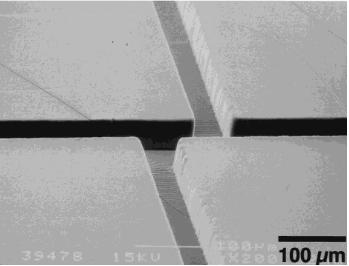 1565917165680448.jpg 11.jpg