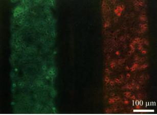 1565917189511085.jpg 12.jpg