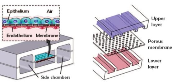 1565917222442712.jpg 13.jpg