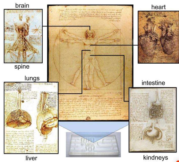 1565917255730514.jpg 14.jpg