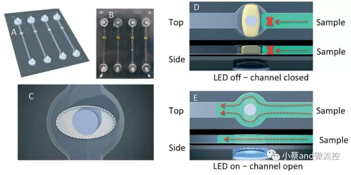 圖1. LED燈控制下光敏水凝膠閥的開啟和閉合 圖1. LED燈控制下光敏水凝膠閥的開啟和閉合