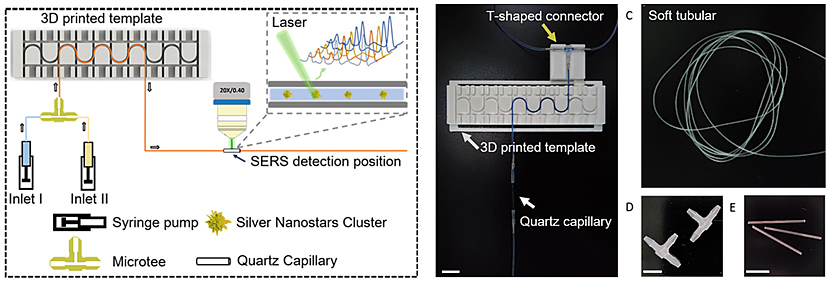 基于軟管微流控的動態流體SERS平臺用于無標記細胞檢測 基于軟管微流控的動態流體SERS平臺用于無標記細胞檢測