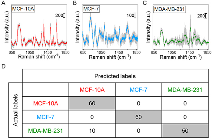 基于軟管微流控的動態流體SERS平臺用于無標記細胞檢測 基于軟管微流控的動態流體SERS平臺用于無標記細胞檢測