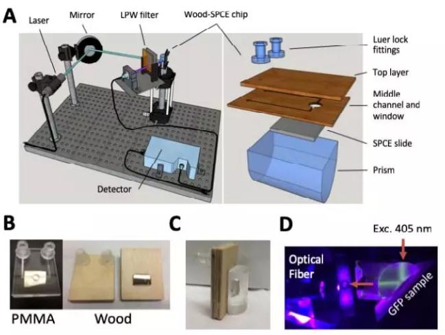 1566785440716344.jpg 2.jpg