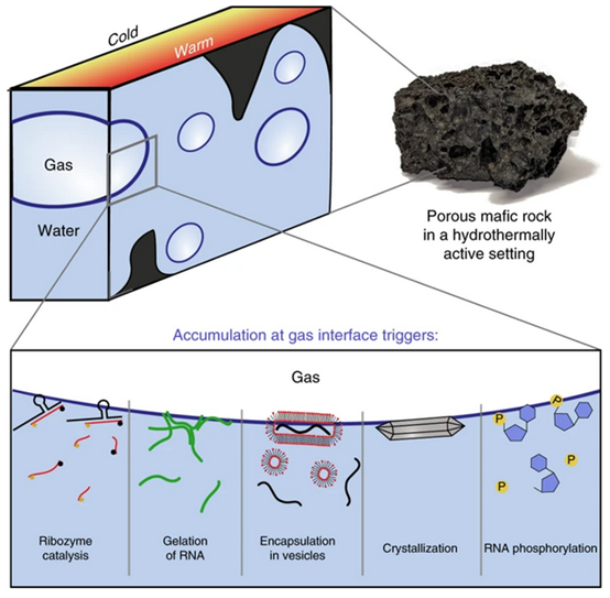 研究人員利用3D打印構建了模擬火山巖的微流控器件,用于觀察重要的生命分子在液-氣界面的動力學行為 研究人員利用3D打印構建了模擬火山巖的微流控器件,用于觀察重要的生命分子在液-氣界面的動力學行為