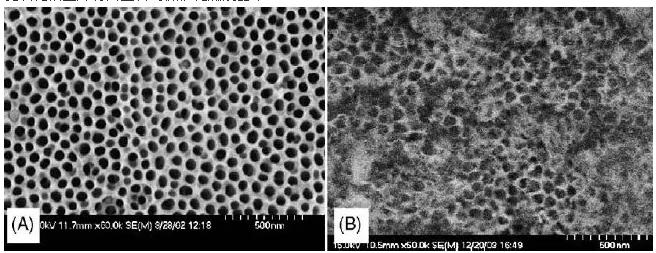 圖2. 陽極氧化微反應(yīng)器的表面形態(tài):(A)未水熱處理,(B)水熱處理后 圖2. 陽極氧化微反應(yīng)器的表面形態(tài):(A)未水熱處理,(B)水熱處理后