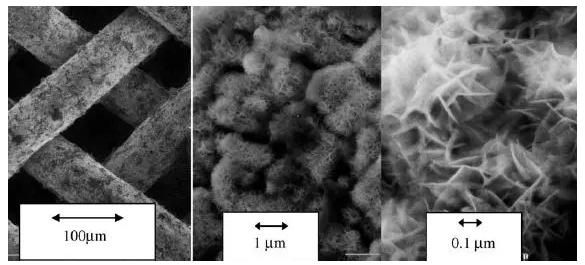 圖8. 具有Raney型外表面的不同放大倍數(shù)的鎳柵催化劑的SEM圖像 圖8. 具有Raney型外表面的不同放大倍數(shù)的鎳柵催化劑的SEM圖像