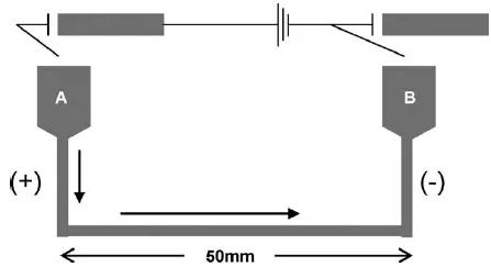 圖13. 用于Suzuki偶聯(lián)反應(yīng)的毛細管微反應(yīng)器的示意圖 圖13. 用于Suzuki偶聯(lián)反應(yīng)的毛細管微反應(yīng)器的示意圖