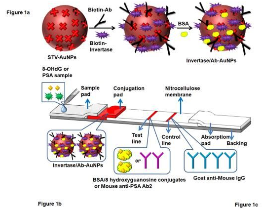 “微流控+智能手機(jī)血糖儀” 打造非血糖分子檢測(cè)平臺(tái)，量化評(píng)估DNA過(guò)氧化損傷