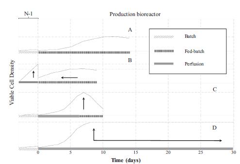 N-1和生產(chǎn)(N-階段)生物反應(yīng)器不同操作策略的示意圖 N-1和生產(chǎn)(N-階段)生物反應(yīng)器不同操作策略的示意圖