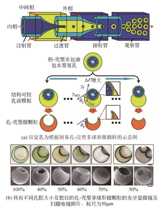 　復(fù)乳模板法制備孔-殼型非球形微顆粒
