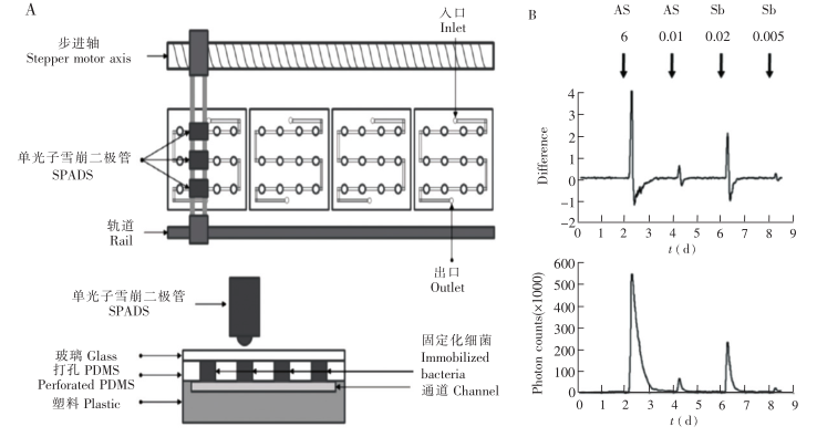 流通式生物傳感器示意圖及響應曲線