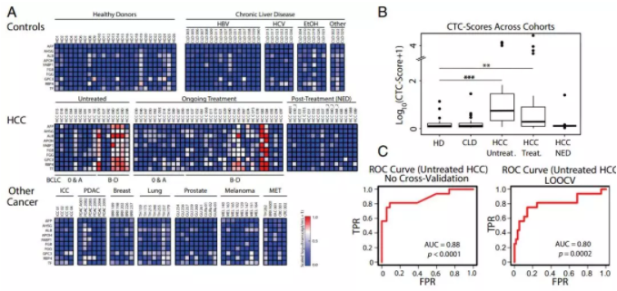圖2.微流控CTC-iChip系統能夠特異地識別肝癌細胞。