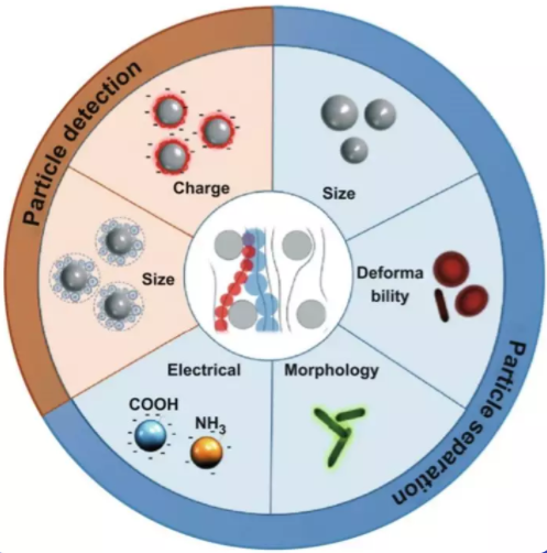 DLD知多少？新加坡NSU綜述帶你了解微流控生物醫(yī)學新技術！