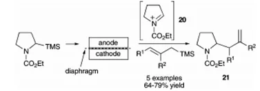 方案10 烯丙基硅烷與N-酰亞胺離子的電化學偶聯反應