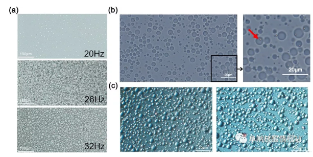 圖3 a) 乳液中液滴的性質(zhì)。(a)不同振動(dòng)頻率下乳液的特性；(b)一個(gè)乳狀液艙內(nèi)的單顆珠子的照片；(c)乳液熱循環(huán)前(左)和熱循環(huán)后(右)的照片。