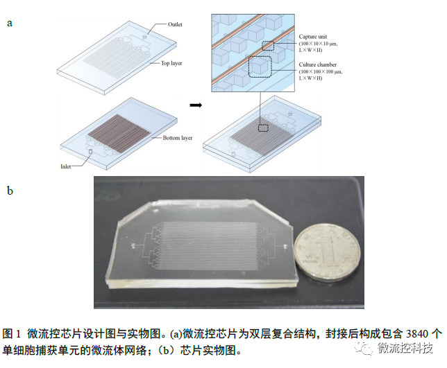 微流控芯片設計圖與實物圖