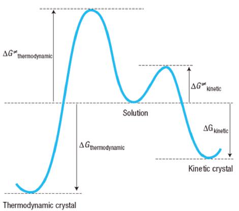 圖3 從溶液到熱力學和動力學晶體的假設轉變;Δg熱力學和Δg動力學之間的差異決定了動力學晶體的易形成性 圖3 從溶液到熱力學和動力學晶體的假設轉變;Δg熱力學和Δg動力學之間的差異決定了動力學晶體的易形成性
