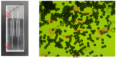 W/O油包水液滴玻璃芯片