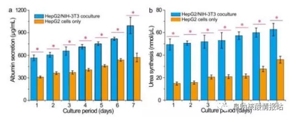 圖片6.png 圖5 肝細胞/成纖維細胞共培養(yǎng)和肝細胞培養(yǎng)的肝臟特異性功能的測定。在七天內(nèi)測量的HepG2 / NIH-3T3共培養(yǎng)和HepG2培養(yǎng)的a)白蛋白分泌和b）尿素合成。