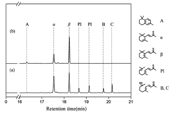 在不同條件下產物混合物的GC色譜圖