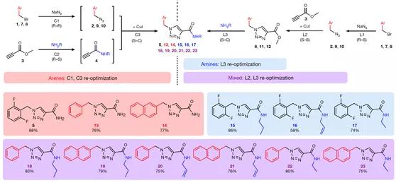 圖 4 利用本方法進行盧非酰胺衍生物庫的合成