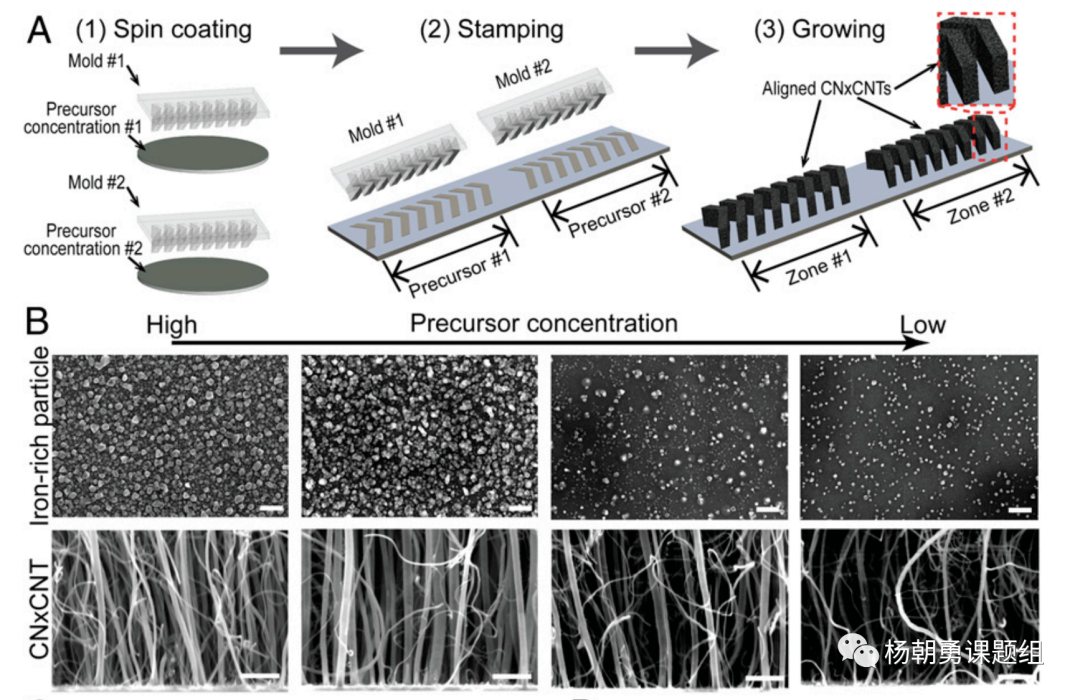 圖 2 壓印的方法制作VIRRION及不同內(nèi)部間隙的碳納米管陣列 圖 2 壓印的方法制作VIRRION及不同內(nèi)部間隙的碳納米管陣列