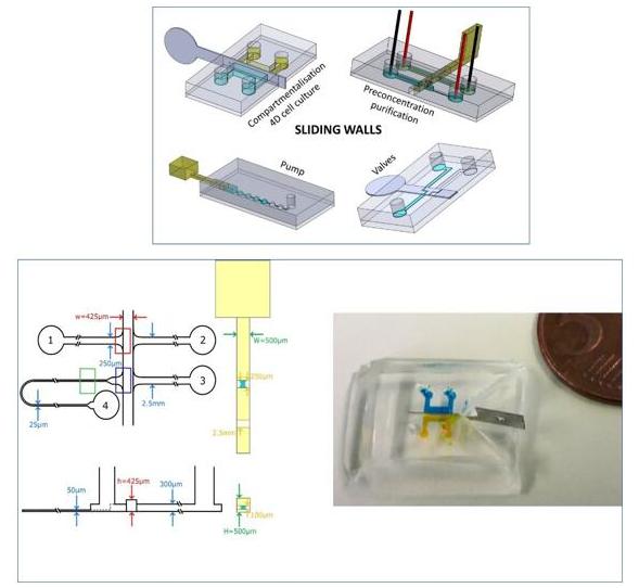 用于DNA預富集的微芯片和滑動壁設計 用于DNA預富集的微芯片和滑動壁設計