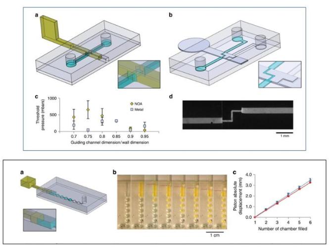 閥門控制實驗 閥門控制實驗