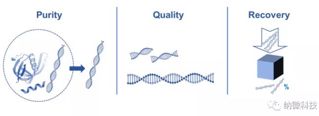 如何評估磁珠法提取核酸的效果? 如何評估磁珠法提取核酸的效果?