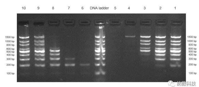 1589274706572315.jpg 7.jpg