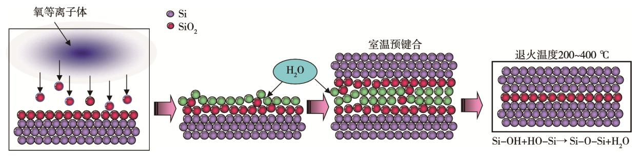 圖4 等離子體活化鍵合原理 圖4 等離子體活化鍵合原理