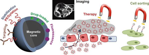 磁性納米粒子 磁性納米粒子