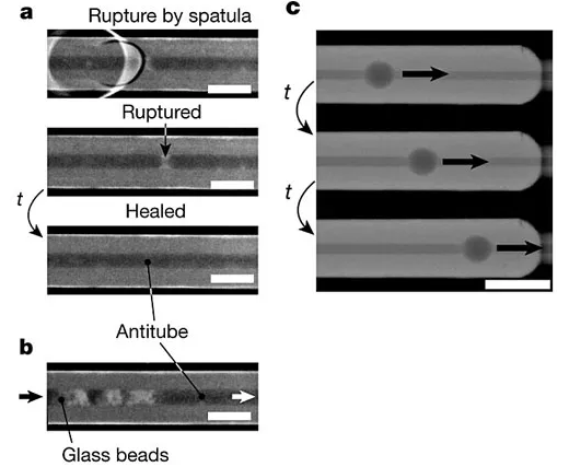 具有“自愈”功能的液體管壁微流體通道。圖片來源：Nature
