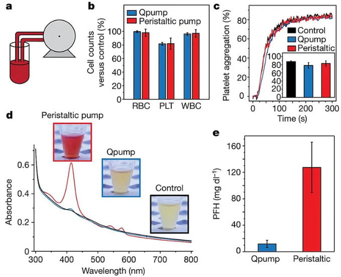 利用“磁蠕動泵”輸送血液。圖片來源：Nature