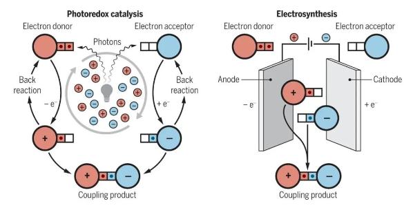 微流體電催化平臺(tái)，成功實(shí)現(xiàn)合成自由基化學(xué)應(yīng)用大突破