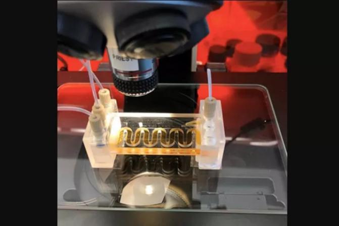 低成本的微流體傳感器用于水質(zhì)監(jiān)測 低成本的微流體傳感器用于水質(zhì)監(jiān)測