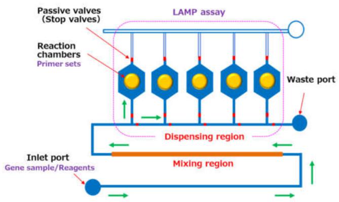 微流控芯片技術(shù)可快速診斷多種植物病毒所引起的疾病 微流控芯片技術(shù)可快速診斷多種植物病毒所引起的疾病