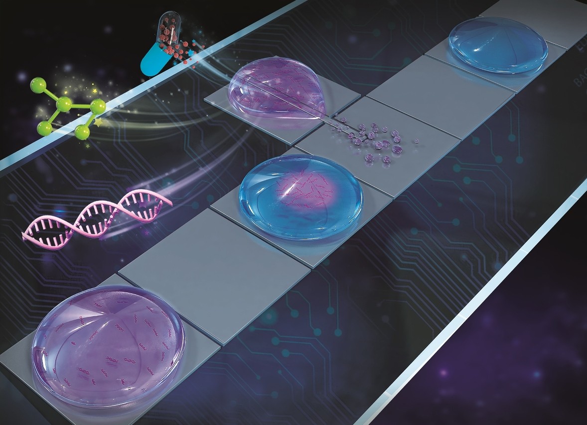 高壓交流電場的驅(qū)動下定向噴射出的“衛(wèi)星液滴” 高壓交流電場的驅(qū)動下定向噴射出的“衛(wèi)星液滴”