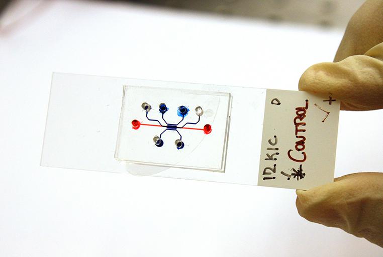 微流控設(shè)備測試胰腺癌藥物 微流控設(shè)備測試胰腺癌藥物