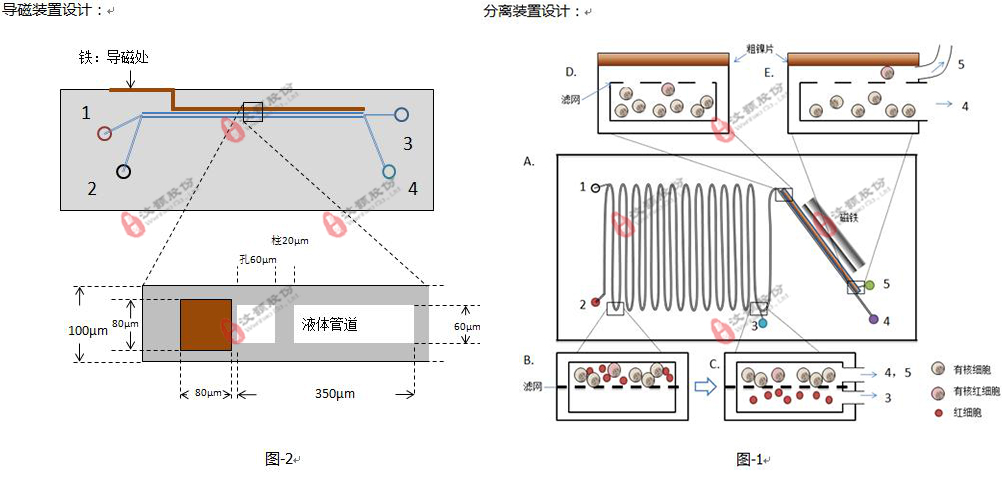 基于微流控平臺的有核紅細(xì)胞分析系統(tǒng)委托開發(fā)