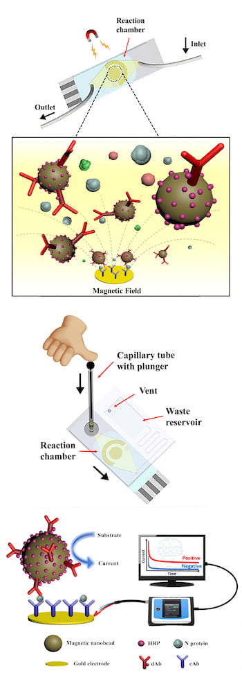 微流控芯片簡化了COVID-19檢測，可在55分鐘或更短時間內在手機上提供結果