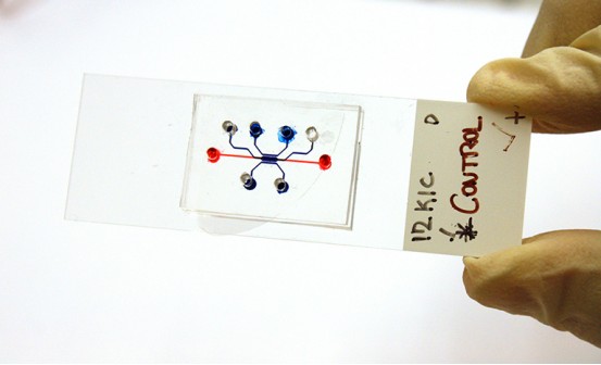 微流控芯片.jpg 微流控芯片.jpg