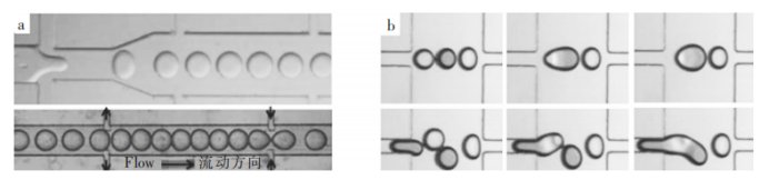 微液滴.jpg 微液滴.jpg